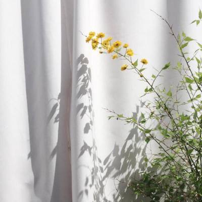 师兄请留步游戏