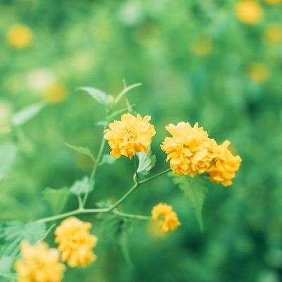 人类一败到底游戏下载